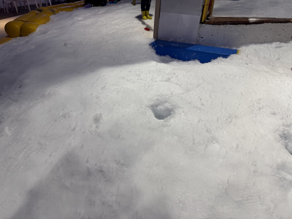 東京あそびマーレ、京王、室内、遊園地、雪、スノータウン